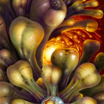 Plethora Ball Flower Deepfield Digital Print